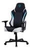 Picture of Gaming Chair - Eureka Ergonomic® ONEX-FX8-BW